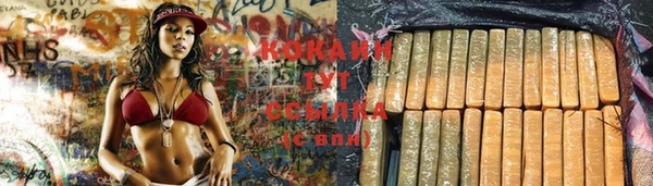 шишки Медногорск
