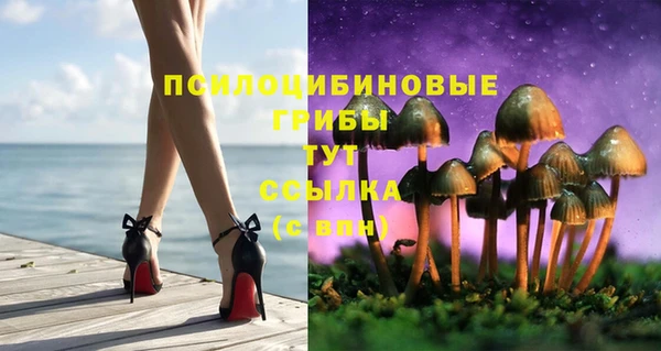 mdpv Михайловск