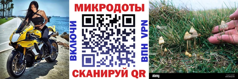 купить закладку  Ковылкино  Псилоцибиновые грибы прущие грибы 